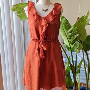 Feminine Work dress